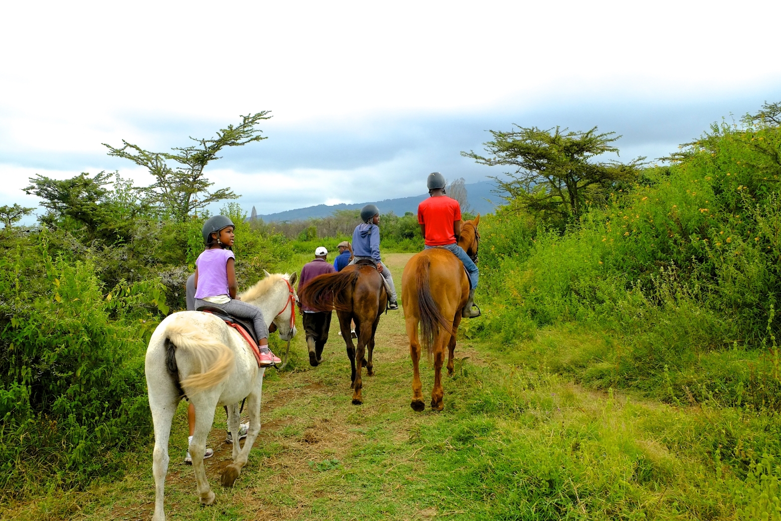 A child friendly family safari