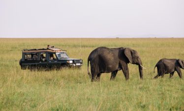 Family on safari