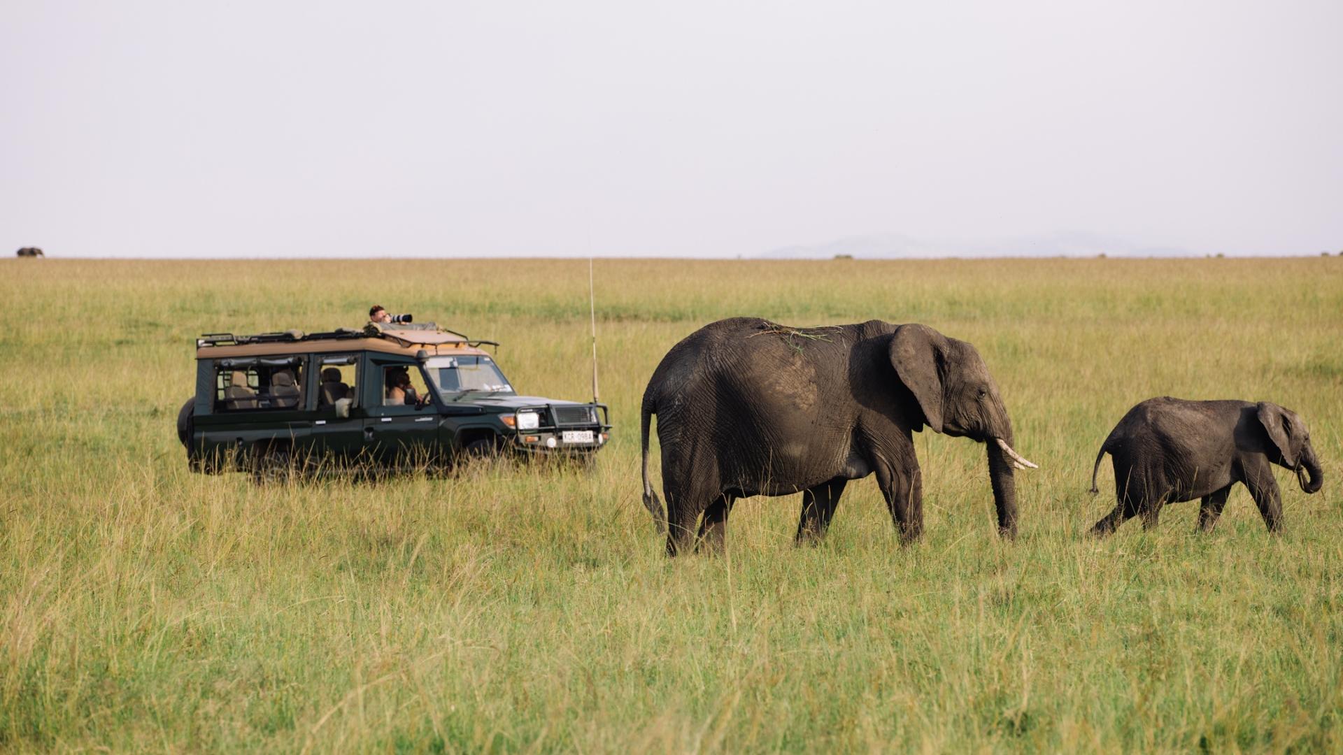 Family on safari